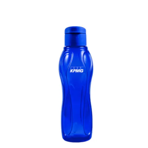 500ml Arctic Ice Bottle - Royal Blue